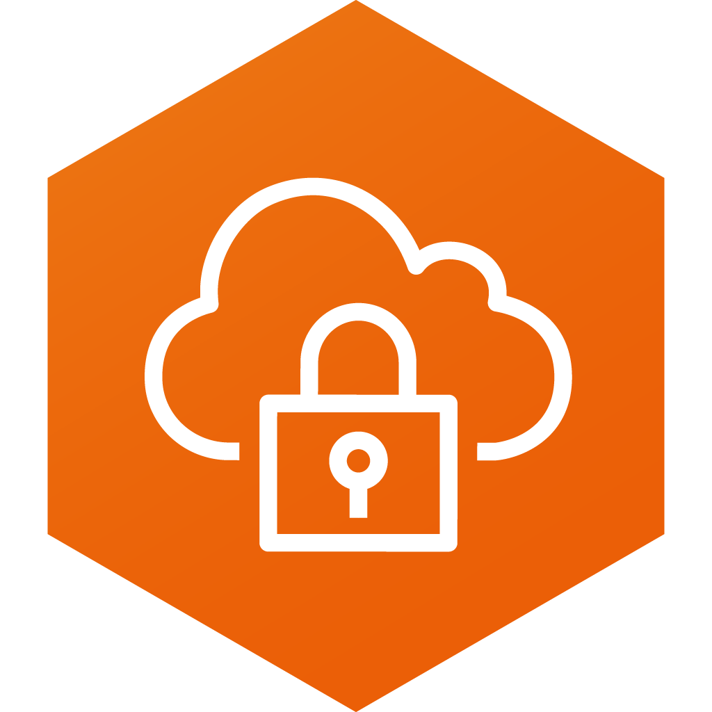 AWS VPN Client icon